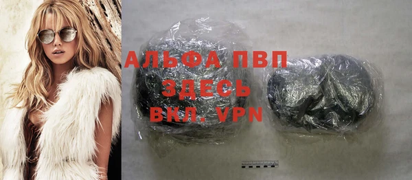 дживик Сатка
