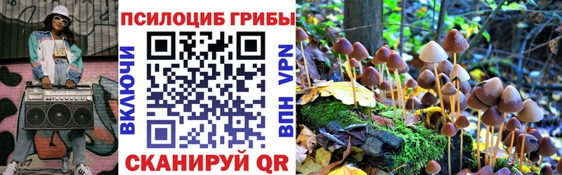 мега зеркало  Баксан  Галлюциногенные грибы Cubensis 