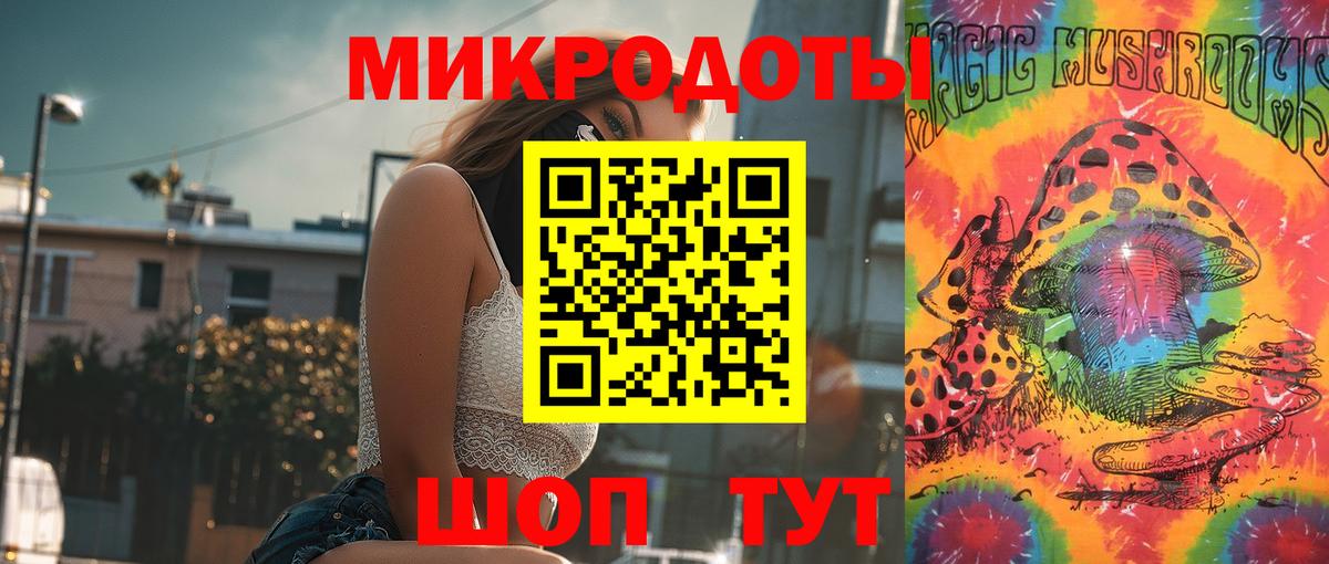 Псилоцибиновые грибы Cubensis  Вход с VPN  Баксан 