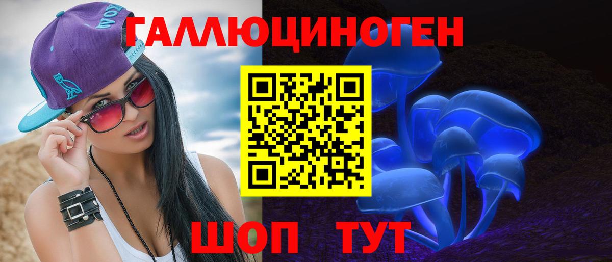 Псилоцибиновые грибы Psilocybe Баксан